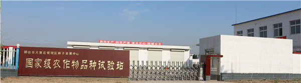 3科研基礎 嬰泊種業試驗站