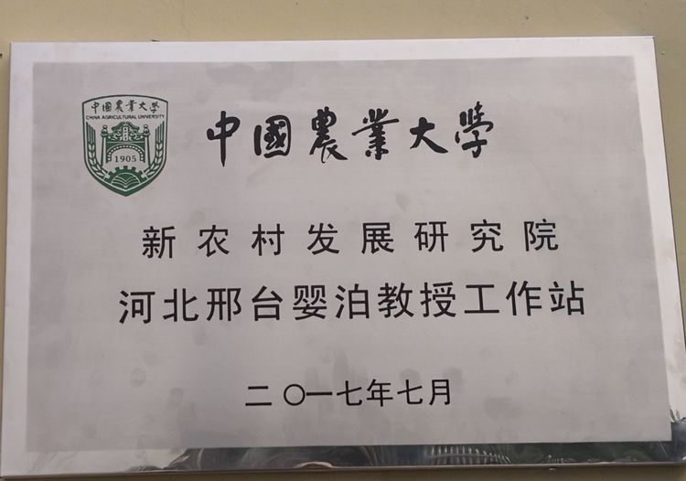 4月25日河北嬰泊種業到中國農業大學曲周試驗站考察學習