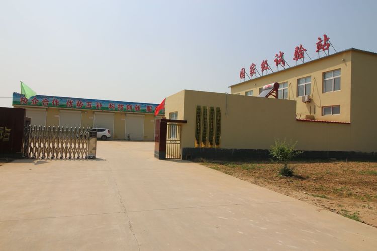 嬰泊種業(yè)小麥觀摩會首次全景展示嬰泊實力
