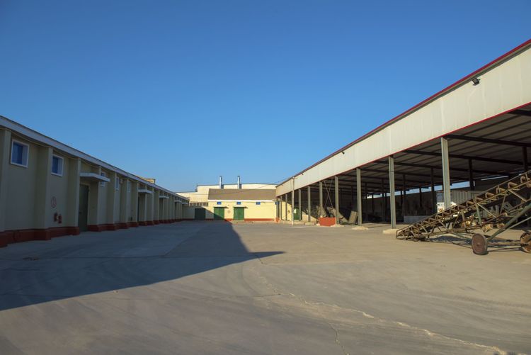嬰泊種業(yè)小麥觀摩會首次全景展示嬰泊實力
