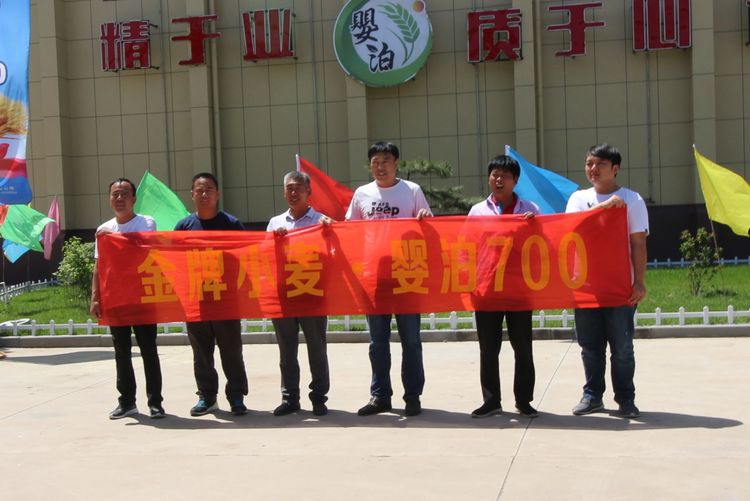 嬰泊種業(yè)小麥觀摩會首次全景展示嬰泊實力