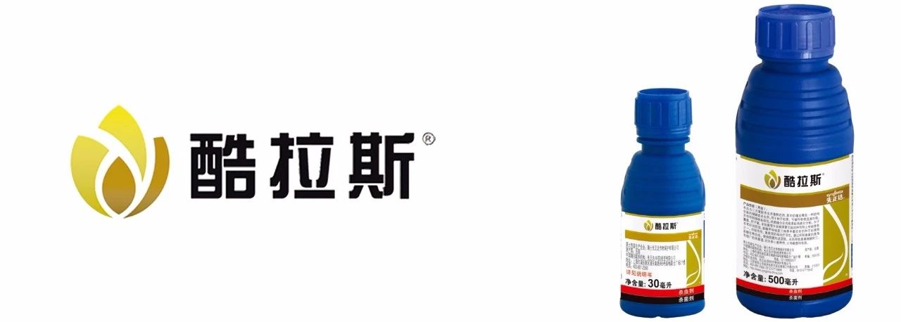 小麥莖基腐病，值得您關注