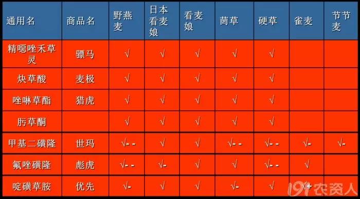 麥田雜草識(shí)別及化學(xué)除草指南，全面！  