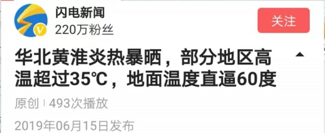 夏玉米出苗不好，九大原因道分明！